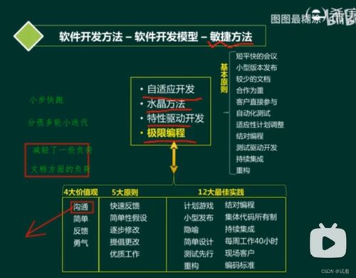 系統分析師 軟件工程